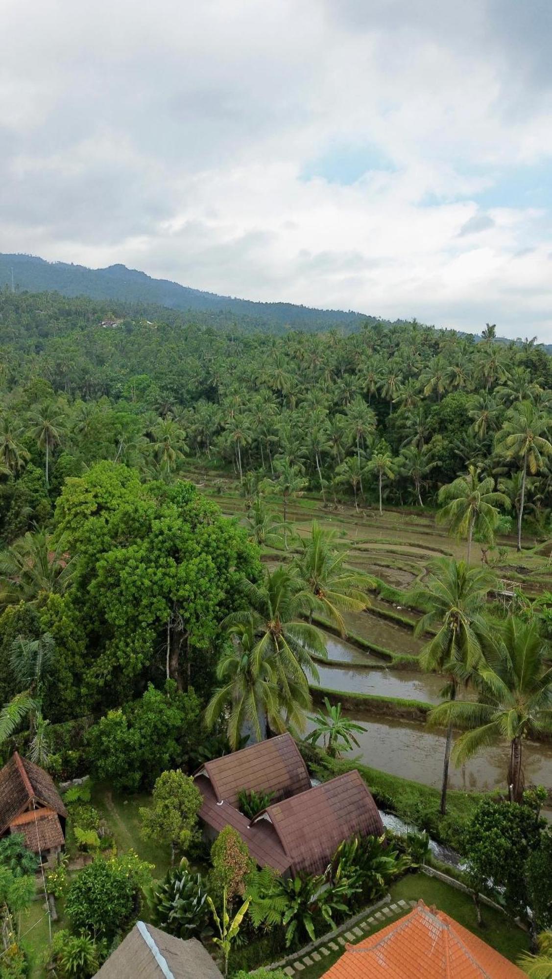 Séjour chez l'habitant Damuh Pertivi, River And Rice Fields View